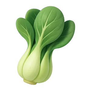 青江菜圖示