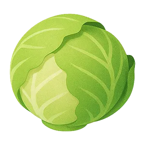 Cabbage icon
