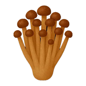 Brown Enoki Mushrooms icon