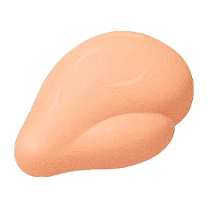 鶏肉のアイコン