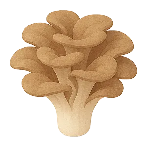 Maitake Mushrooms icon