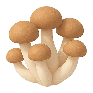Shimeji Mushrooms icon