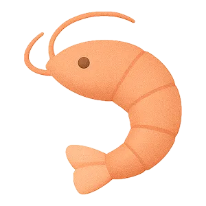 Shrimp icon