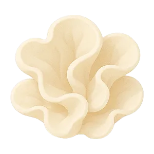 白キクラゲのアイコン