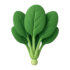 Spinach icon