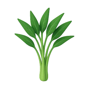 Water Spinach icon